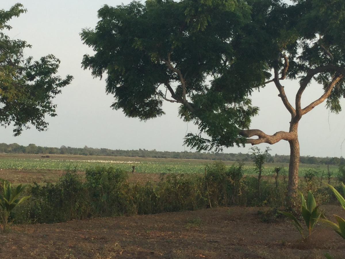 פוטאלם Captain'S Bird Safari Lodge מראה חיצוני תמונה