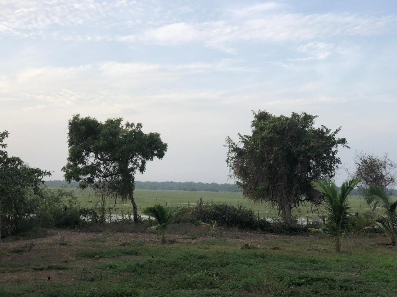 פוטאלם Captain'S Bird Safari Lodge מראה חיצוני תמונה