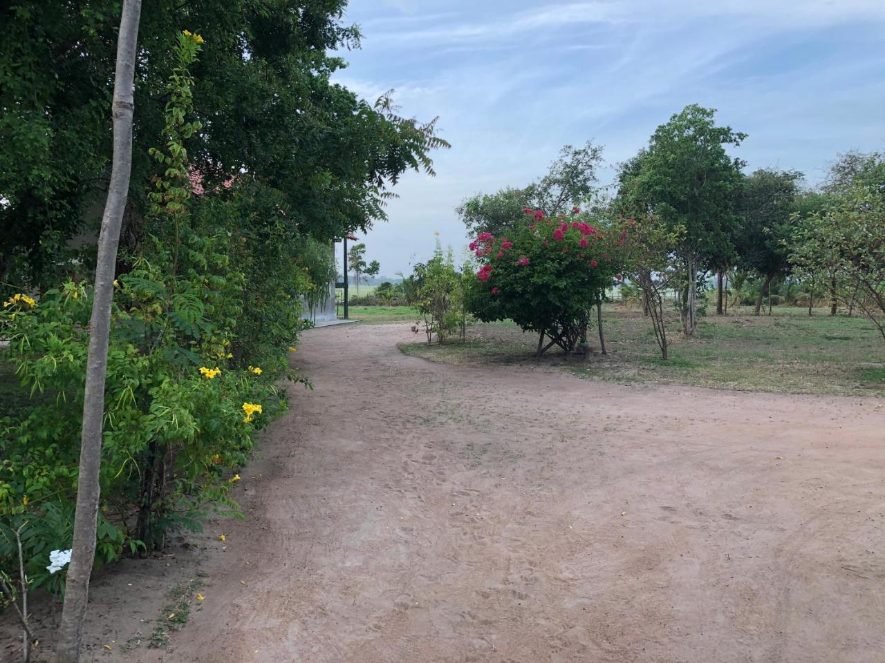 פוטאלם Captain'S Bird Safari Lodge מראה חיצוני תמונה