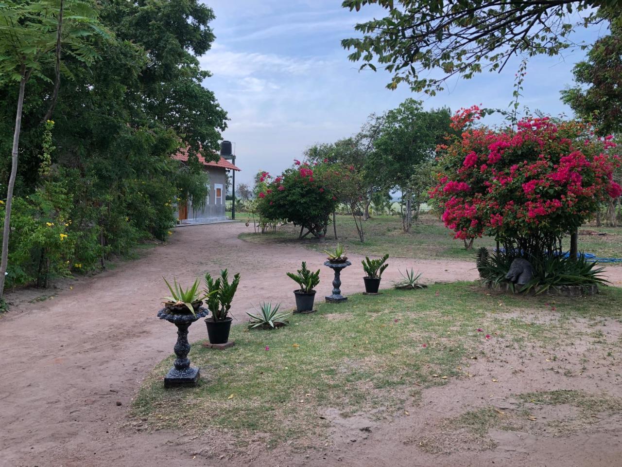 פוטאלם Captain'S Bird Safari Lodge מראה חיצוני תמונה