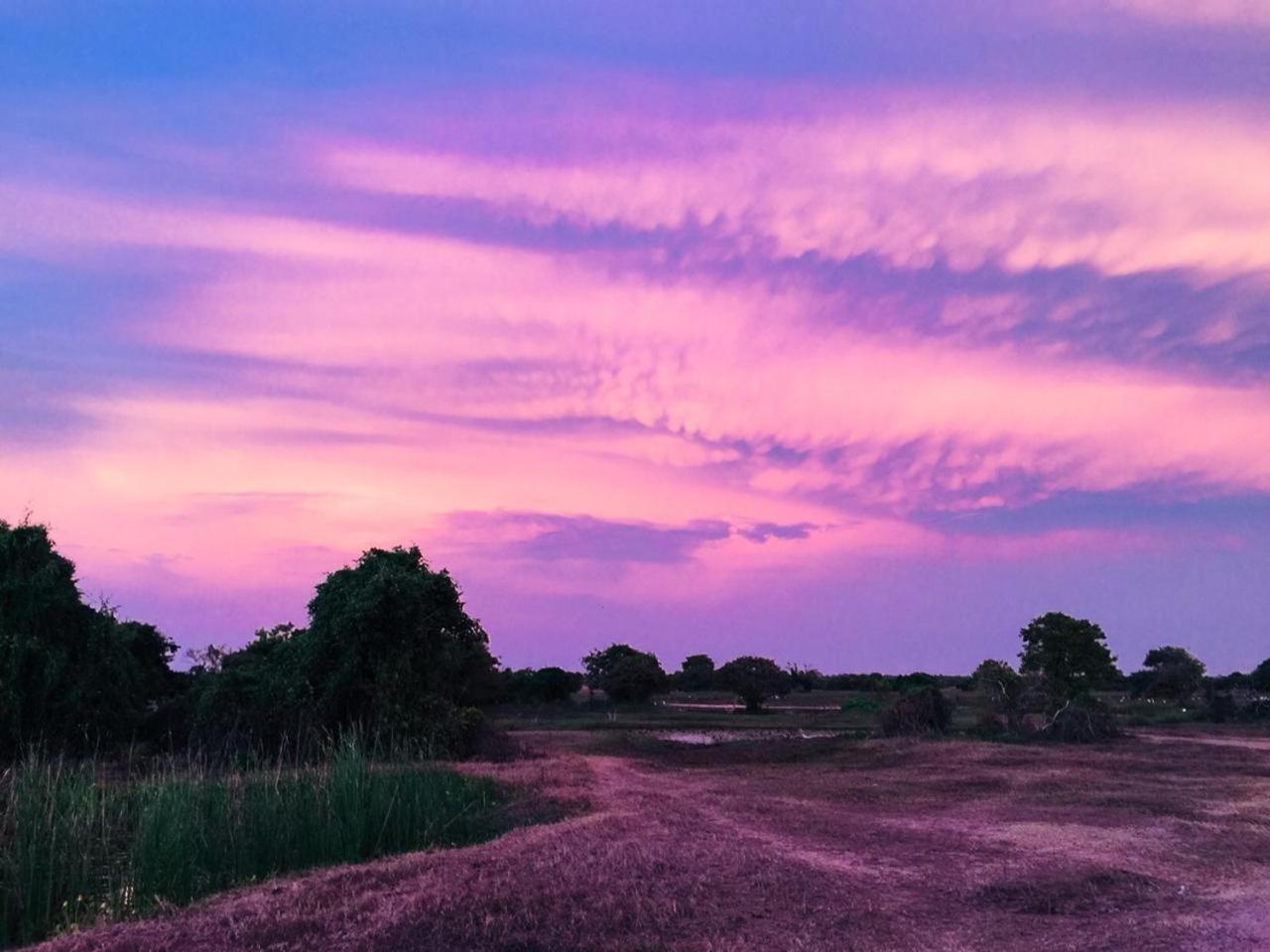 פוטאלם Captain'S Bird Safari Lodge מראה חיצוני תמונה