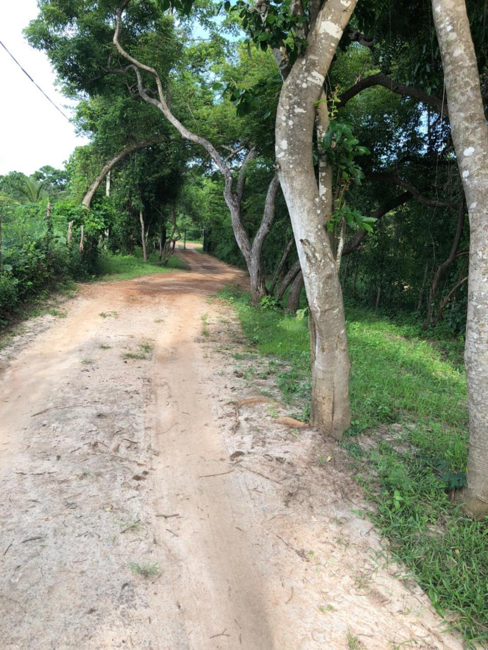 פוטאלם Captain'S Bird Safari Lodge מראה חיצוני תמונה