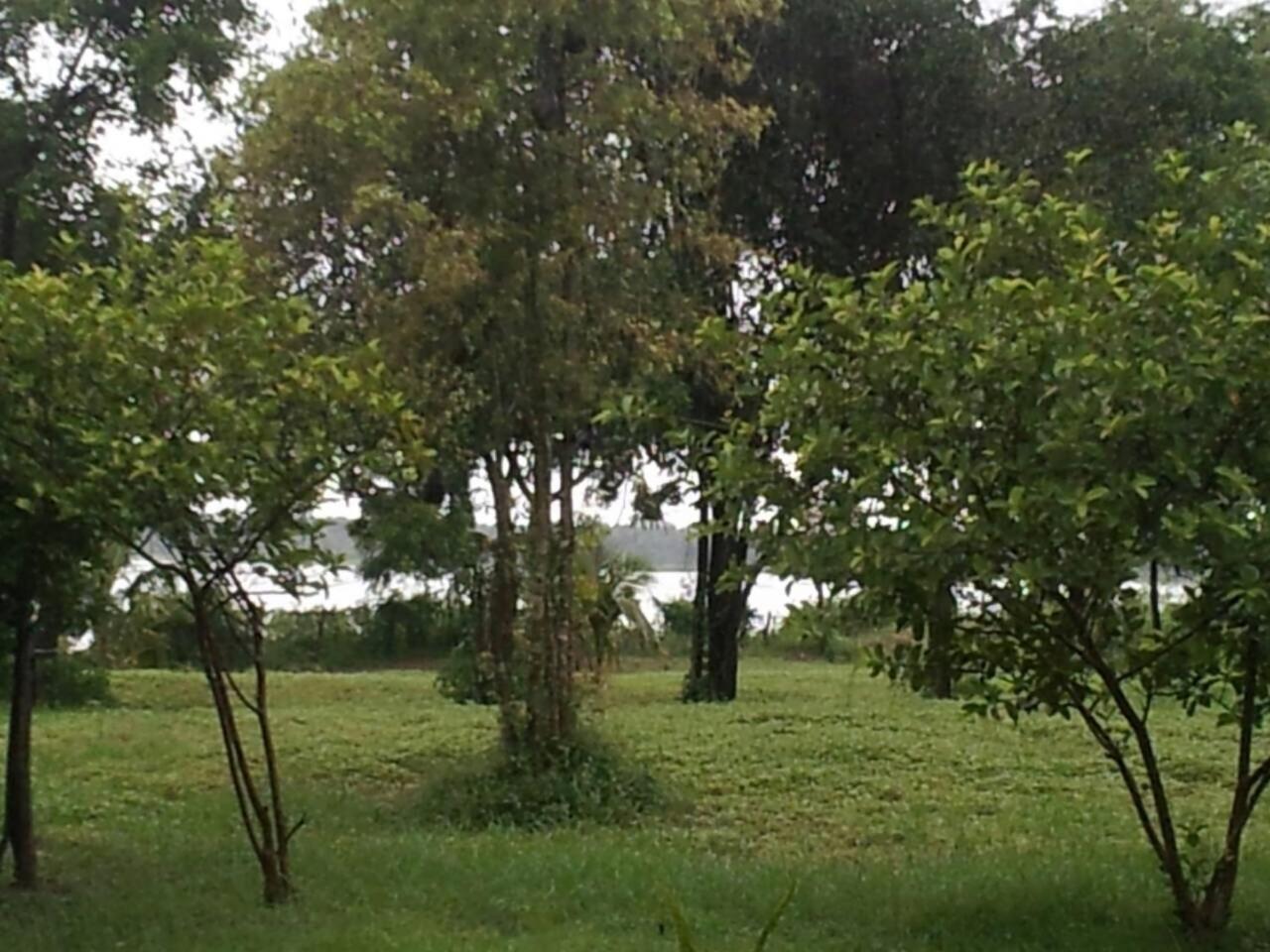 פוטאלם Captain'S Bird Safari Lodge מראה חיצוני תמונה