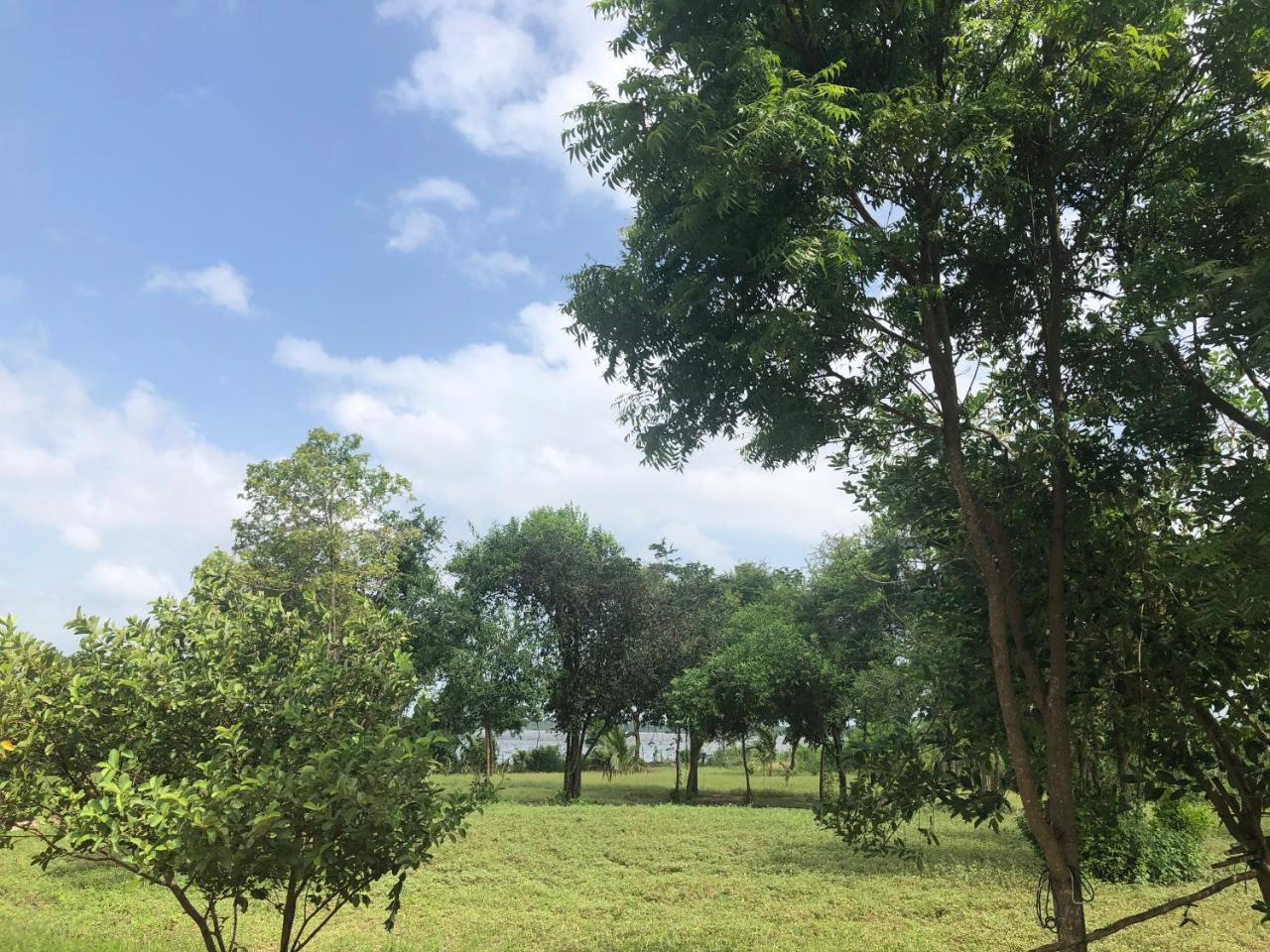 פוטאלם Captain'S Bird Safari Lodge מראה חיצוני תמונה